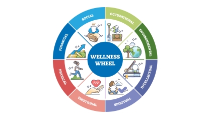 Wellness Wheel