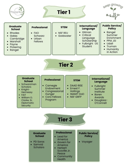 OSDFA Tiers